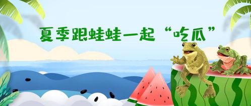 吃瓜群众大蛙吃小蛙,吃瓜群众视角下的生态链奇观