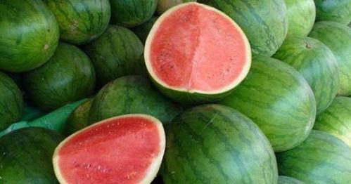 怎么回复吃瓜图片,揭秘网络图片背后的热议焦点