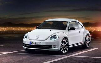 甲壳虫吃瓜,一场生态与自然的和谐交响