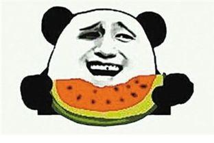 子非鱼吃瓜群众的图片