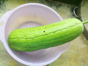 进口水瓜怎么吃,探索美味新境界