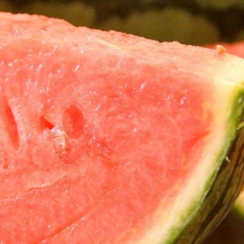 泗水在线吃瓜,揭秘网络“吃瓜”文化背后的故事