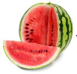 镇东路吃瓜,瓜田里的欢乐时光