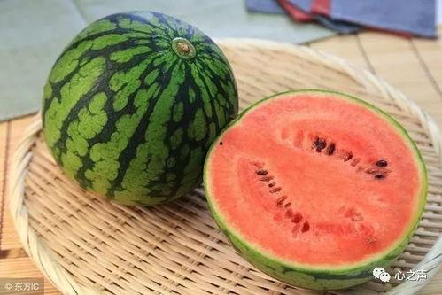 什么叫谨慎吃瓜,揭秘网络舆论背后的真相与风险