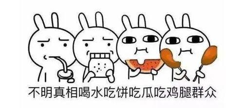 中国吃瓜群众英文