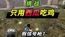 吃鸡刷瓜点,揭秘游戏中的隐藏福利与技巧